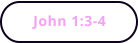 John 1:3-4