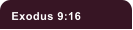 Exodus 9:16